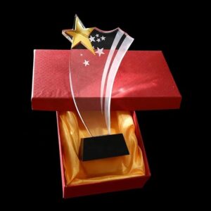 GS135 Black Base Crystal Trophy Award with Stars Design